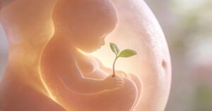 9 tydzień ciąży: co czujesz i jak rozwija się Twój maluszek?